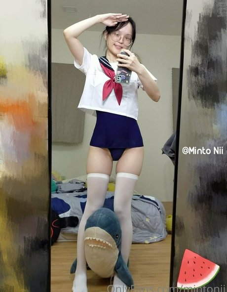 mintonii hd model img