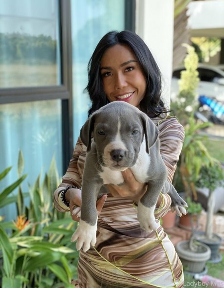 ladyboymos exclusive star pics