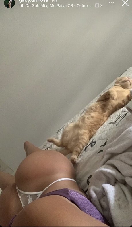 gaby dmrosa porn actress pics