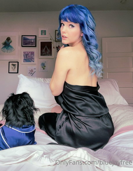 bluejayfree model nice pics