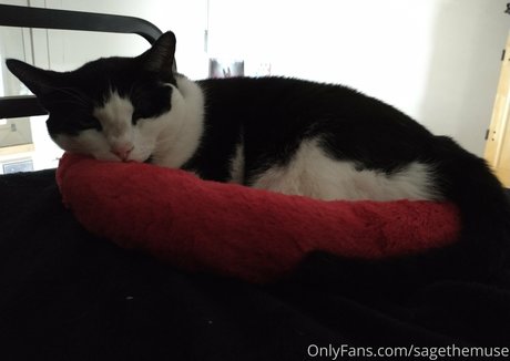 sagethemuse model top galleries