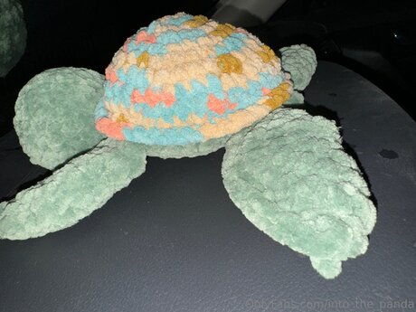 into the panda star beautiful photo