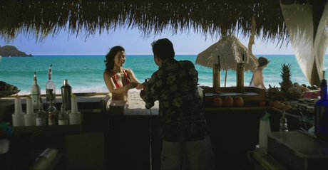 Emmanuelle Chriqui pornstar adult archive