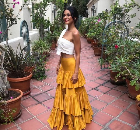 Emmanuelle Chriqui star porn galleries