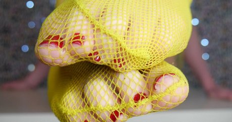 houseofrae star free images