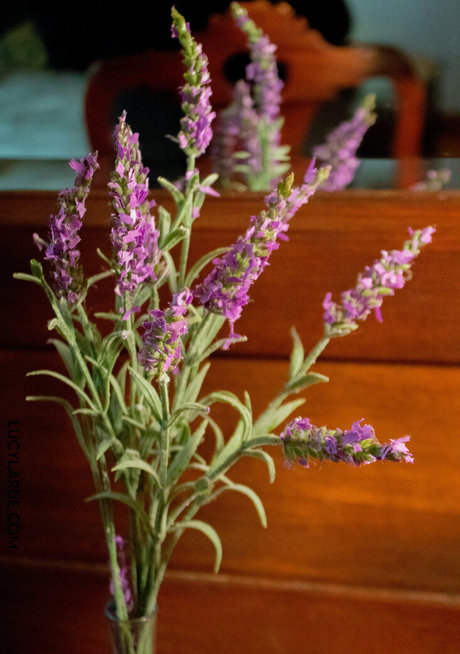 lucylarue model hd img