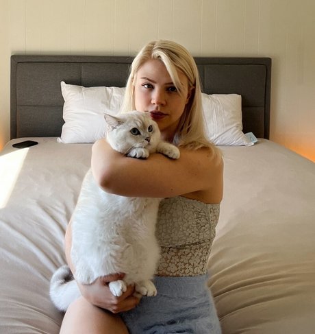 Majijej pornstar free pic