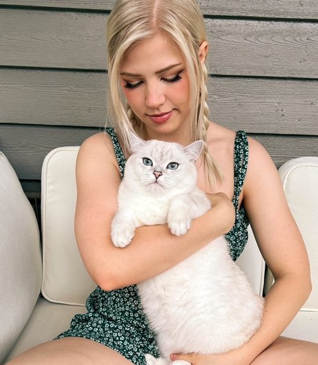 Majijej star beautiful galleries