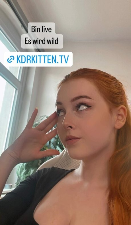 KDRkitten Profile pic