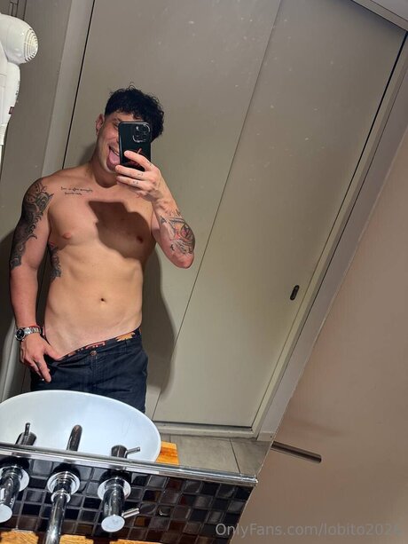 Lobito2026 model art pics