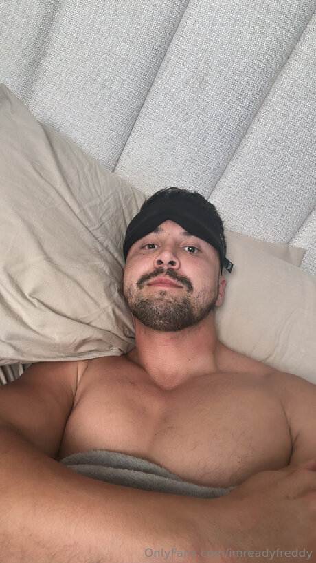 Imreadyfreddy top star archive