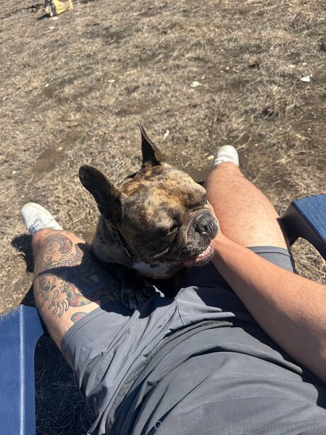 Imreadyfreddy naked star photo