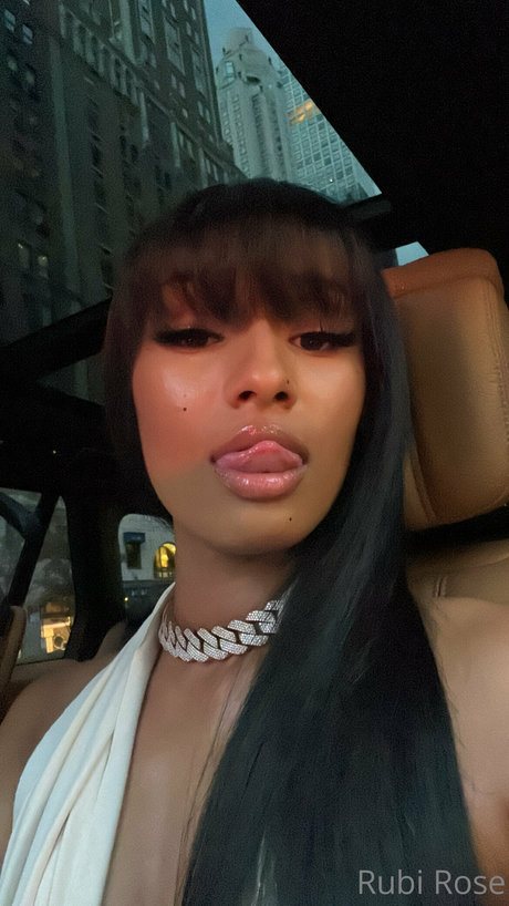 Rubi Rose art pornstar images