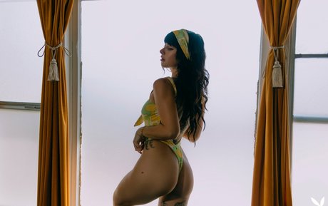 Reed Suicide erotic actress images