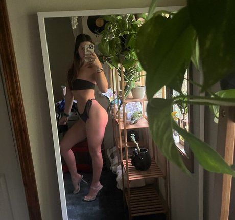 Niksmcfit free star galleries