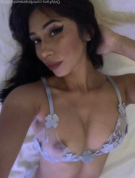 Brainwashedbrat top pornstar archive