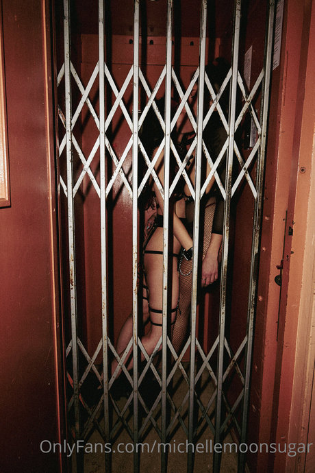 Ellie Land nude pornstar galleries