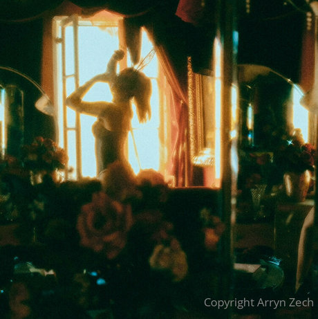 Arryn Zech model nudes img