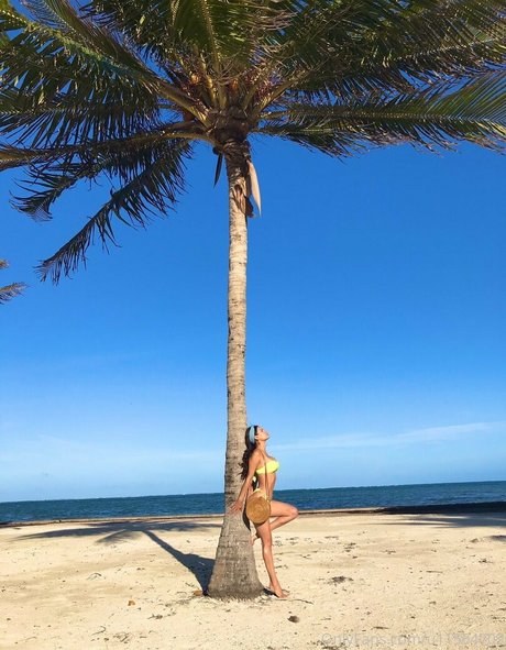 Vanessa Veracruz pornographic star galleries