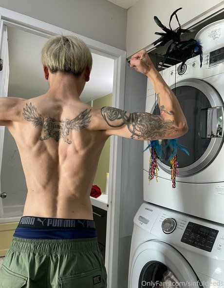 sinfuldeeds nice star img