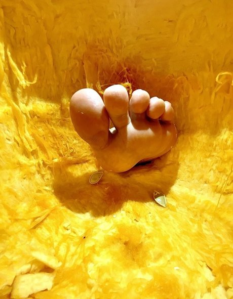 ZeldaHyrule art pornstar image