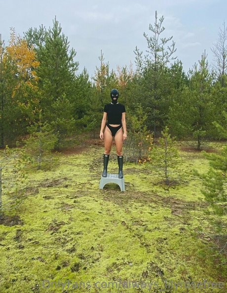 always lilyrosefree star art image