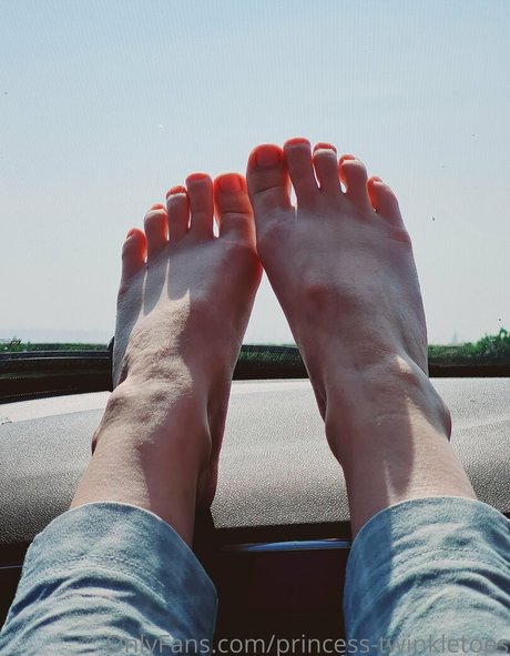 princess twinkletoes model free picture