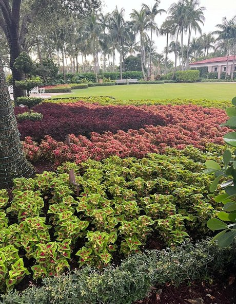 briteresifree exclusive model galleries