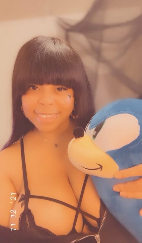 Cinnabus top star galleries