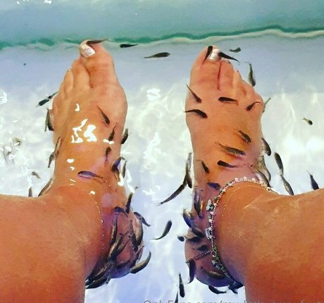 my little sexy feet high quality pornstar pictures