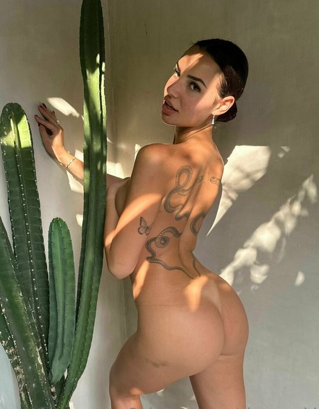 Sineeaadd best actress archive