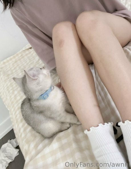 awnni star perfect img