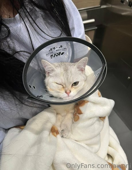 awnni star nudes photo