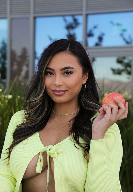 lindavo model exclusive image