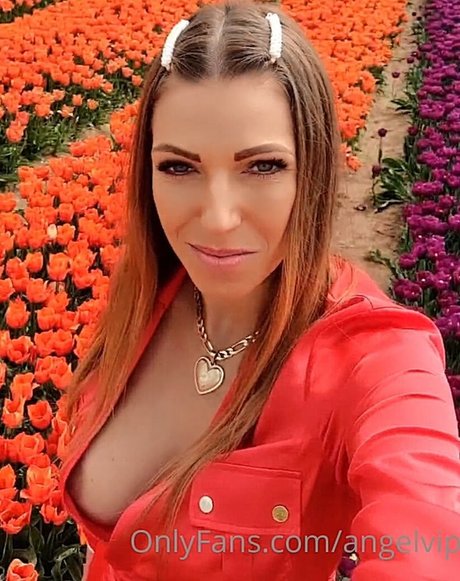 Angel Vip sexy star picture