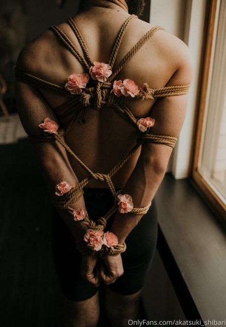 akatsuki shibari beautiful star images