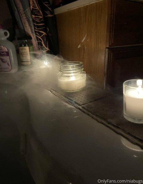 niabugs perfect star galleries