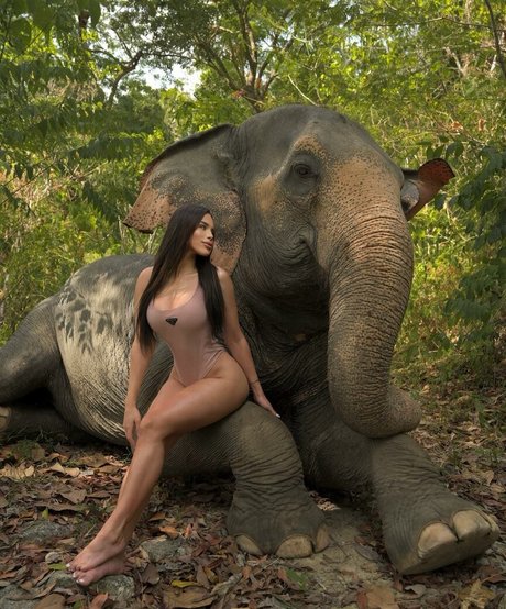 Thay Lupi best pornstar gallery