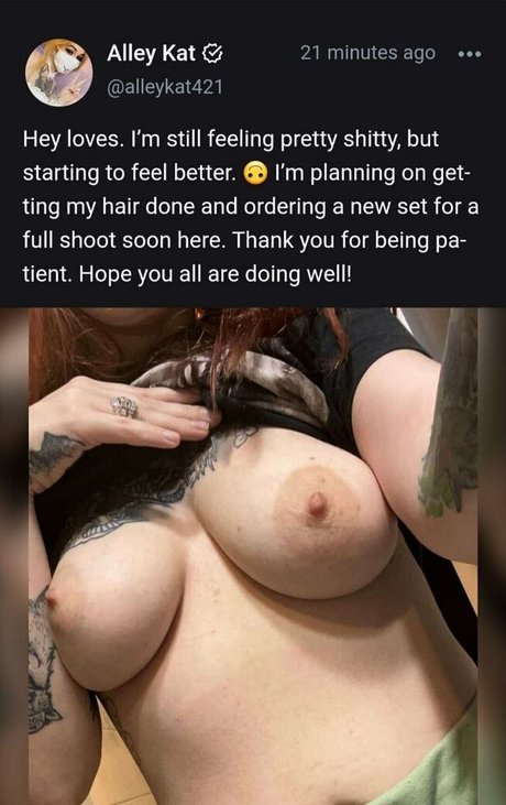 Alleykat model best img