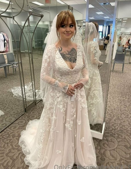 Alleykat star free photo