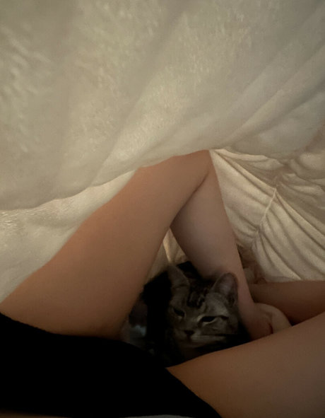 asuna perfect star photos