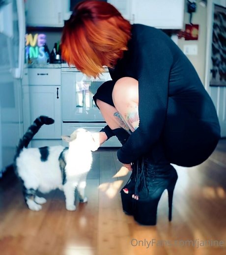 janine pornstar top photos