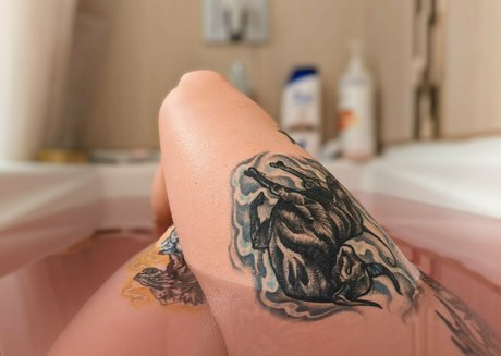 zoadgo star pornographic archive