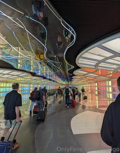 zoadgo star best galleries