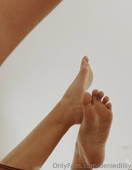 deniedlilly top pornstar photos