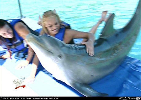 Trish Stratus model hd picture