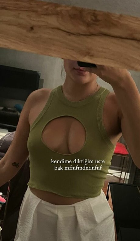 Suecuk nice model images