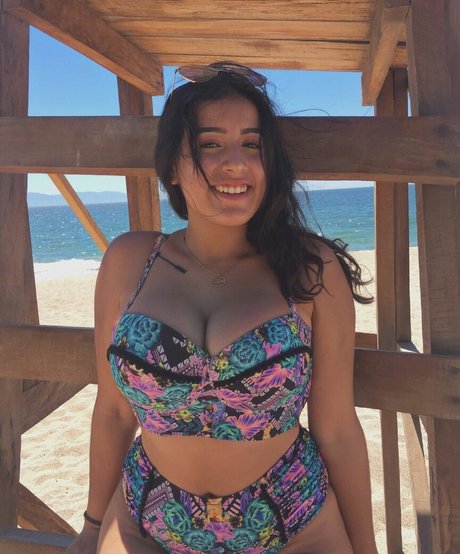 baelib pornstar art archive