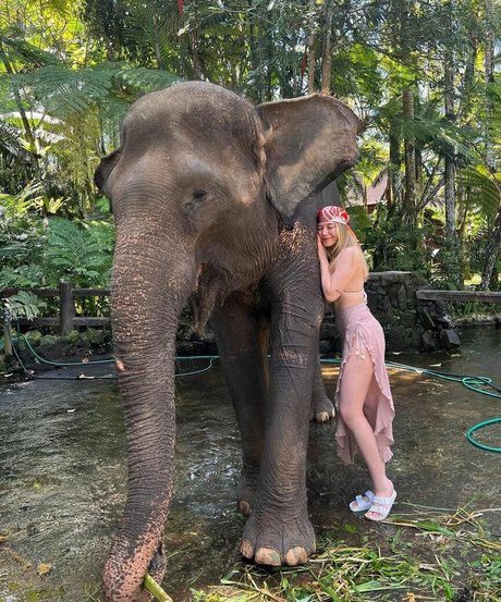 miafitz pornstar beautiful images