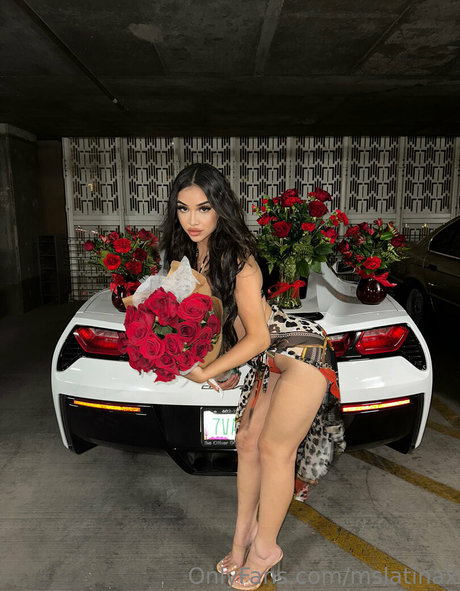 mslatinax star beautiful photos